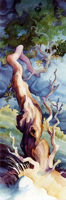 Arbutus Tree painting by Cortes Island BC artist Dianne Bersea