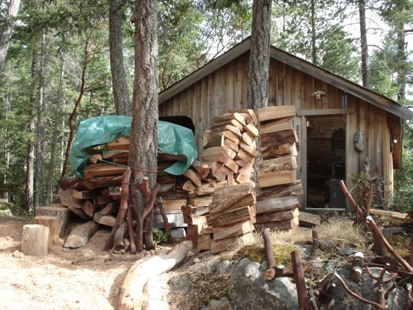 Arbutus-wood-pile